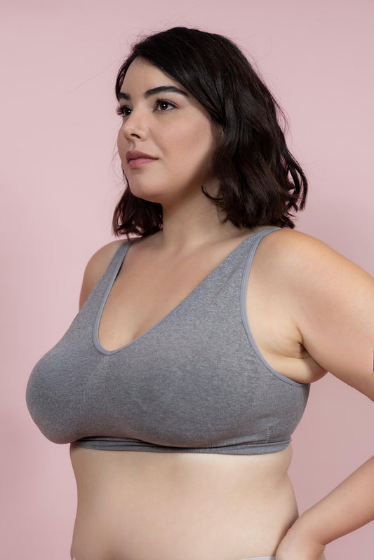 גוזיית סנטוני עם סוגר מאחור