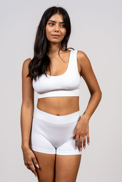 גוזיית ריב סנטוני עם סוגר מאחור