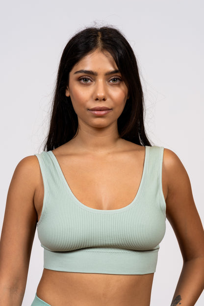 גוזיית ריב סנטוני עם סוגר מאחור