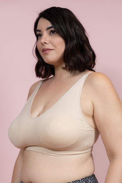 גוזיית סנטוני עם סוגר מאחור