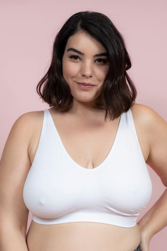 גוזיית סנטוני עם סוגר מאחור