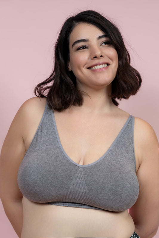 גוזיית סנטוני עם סוגר מאחור